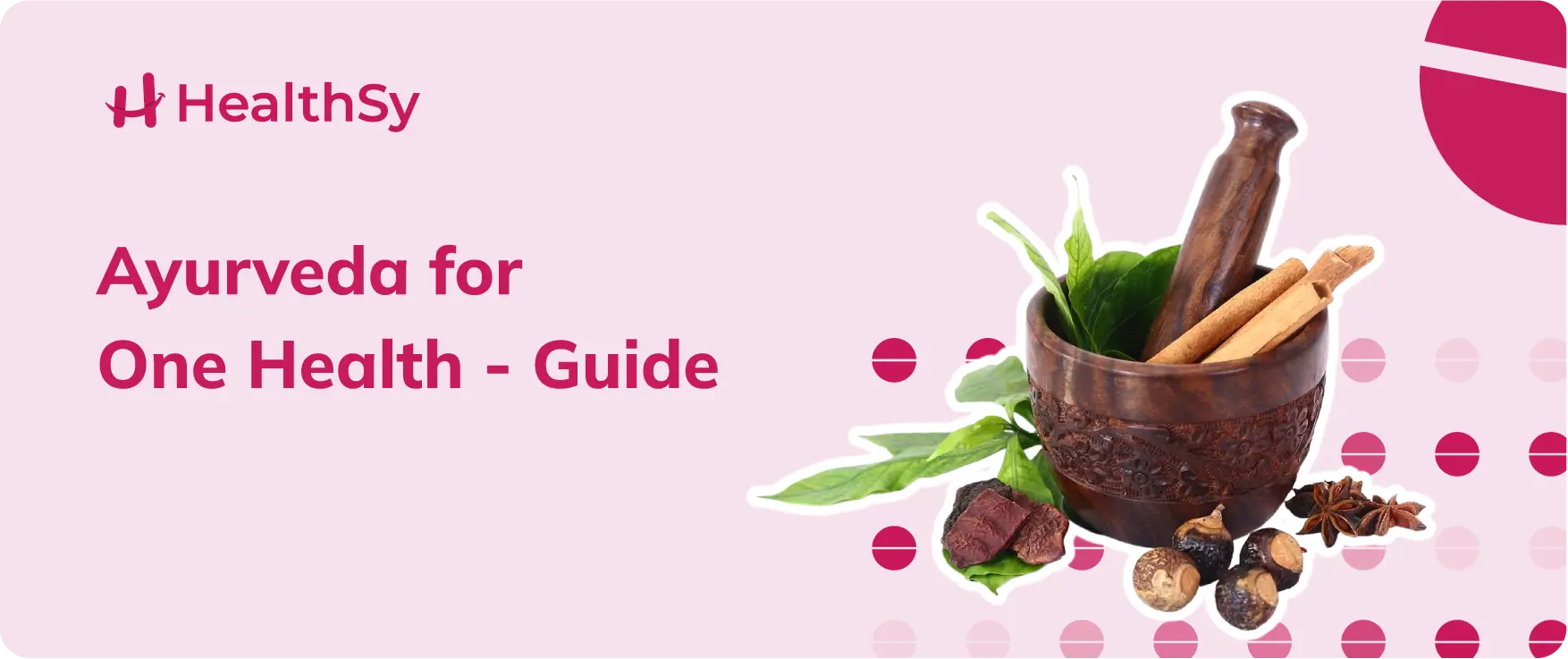 Ayurveda for One Health – Guide